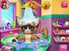 Kitten Bath