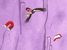 Dora and Friends : Rainforest Rescue!