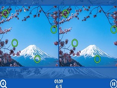 Find 500 Differences