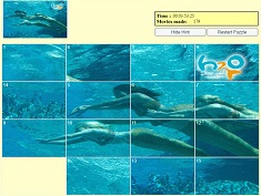H20 Mermaids Puzzle 2