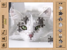 Jigsaw Puzzle Deluxe