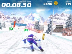Ski Slalom 3D