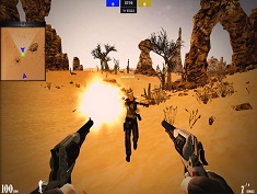 Gunslingers: Wild Western Wolf