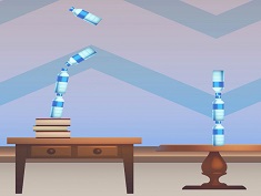 Impossible Bottle Flip