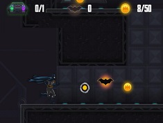 Batman Shadow Combat