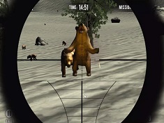 Bear Hunter