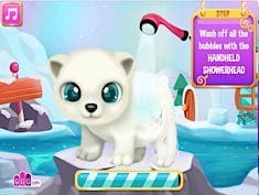 Paws to Beauty Arctic Edition