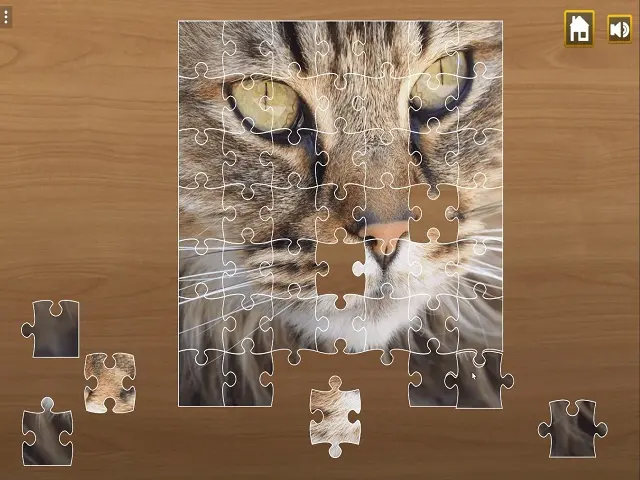 JIGSAW PUZZLE jogo online no